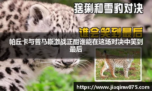 bevictor伟德官网入口