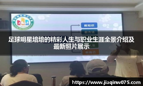 bevictor伟德官网入口